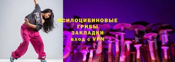 эйфоретик Алексин