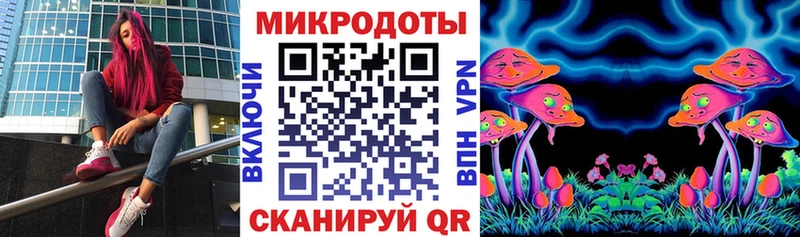 omg Хасавюрт Псилоцибиновые грибы Psilocybine cubensis