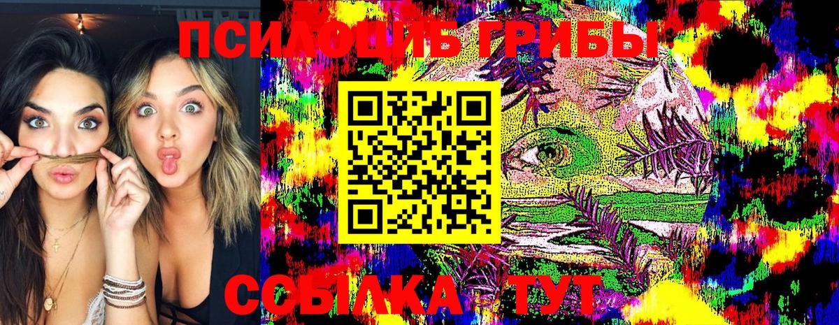 Псилоцибиновые грибы Psilocybe  Галлюциногенные грибы GOLDEN TEACHER  Вход с VPN  Хасавюрт 
