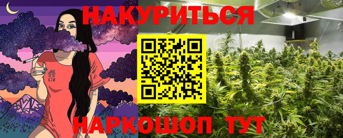 Бошки марихуана марихуана  Бошки Шишки гибрид  Вход с VPN  Хасавюрт 